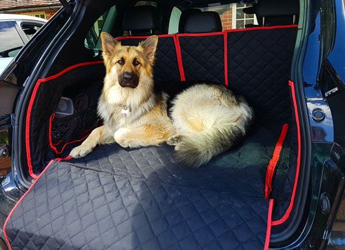 Angus the Alsatian modelling his Porsche Cayenne Boot Liner