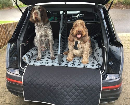 Bodie and Tucker enjoying their custom made Audi SQ7 boot liner